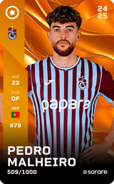 Pedro Malheiro - limited
