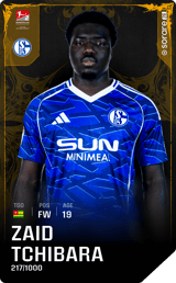 Zaid Amoussou-Tchibara - limited