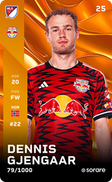 Dennis Gjengaar - limited