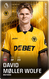 David Møller Wolfe - limited