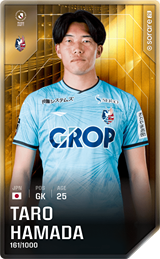 Taro Hamada - limited