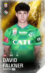 David Falkner - limited