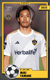 Miki Yamane - limited