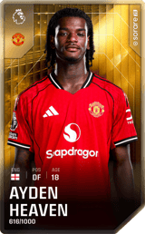 Ayden Heaven - limited