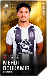 Mehdi Boukamir - limited