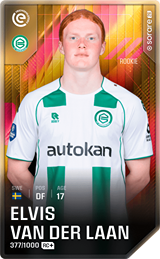 Elvis van der Laan - limited