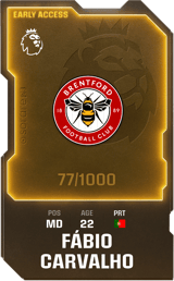 Fábio Carvalho - limited