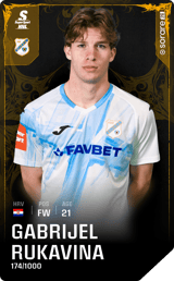 Gabrijel Rukavina - limited