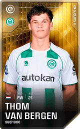 Thom van Bergen - limited