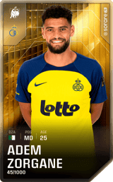 Adem Zorgane - limited