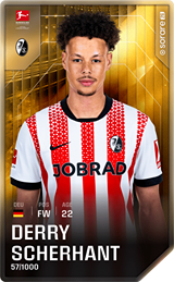 Derry Scherhant - limited