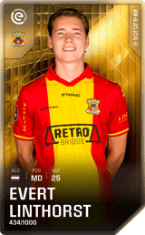 Evert Linthorst - limited