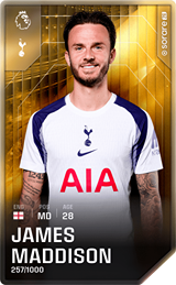James Maddison - limited
