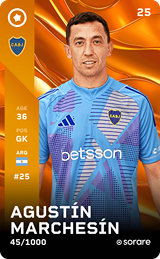 Agustín Marchesín - limited