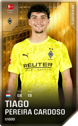 Tiago Pereira Cardoso - limited