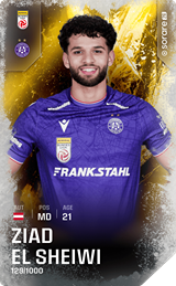 Ziad El Sheiwi - limited