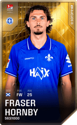 Fraser Hornby - limited