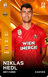 Niklas Hedl - limited