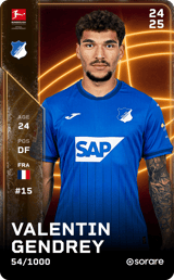 Valentin Gendrey - limited