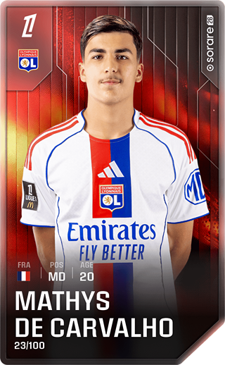 Mathys de Carvalho - rare