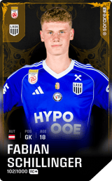 Fabian Schillinger - limited