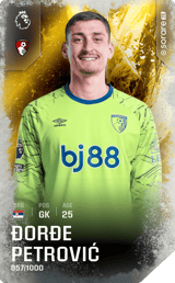 Đorđe Petrović - limited