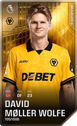 David Møller Wolfe - limited