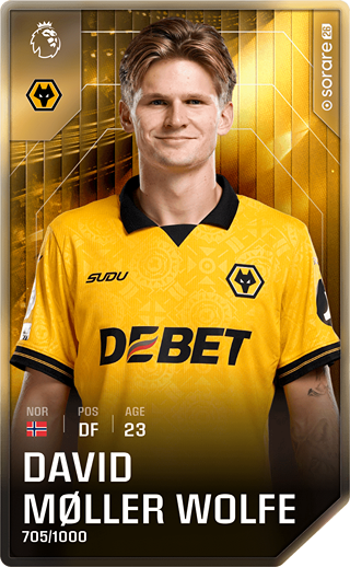 David Møller Wolfe - limited