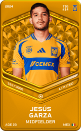 Jesús Garza - limited