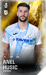 Anel Husic - limited