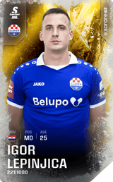 Igor Lepinjica - limited