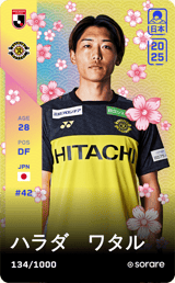 Wataru Harada - limited