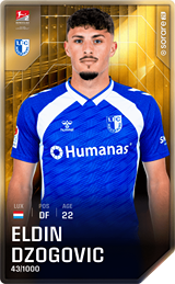 Eldin Dzogovic - limited