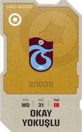 Okay Yokuşlu - limited