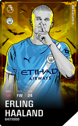 Erling Haaland - limited