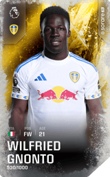 Wilfried Gnonto - limited