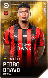 Pedro Bravo - limited