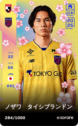 Taishi Brandon Nozawa - limited