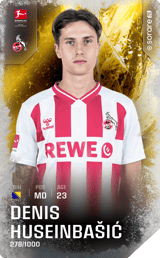 Denis Huseinbašić - limited