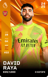 David Raya - limited
