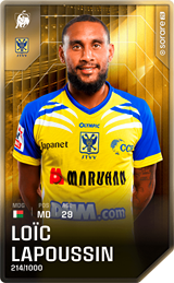 Loïc Lapoussin - limited