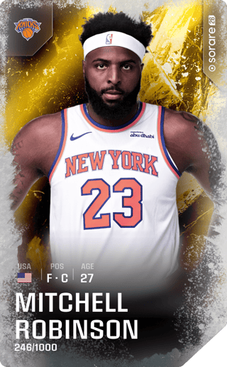 Mitchell Robinson - limited