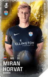 Miran Horvat - limited