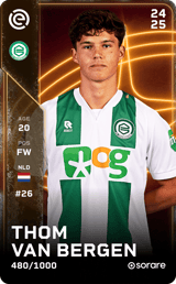 Thom van Bergen - limited