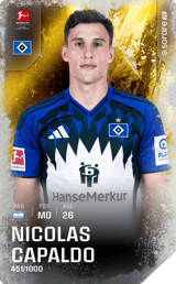 Nicolás Capaldo - limited