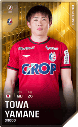 Towa Yamane - limited