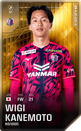 Wigi Kanemoto - limited