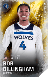 Rob Dillingham - limited