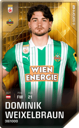 Dominik Weixelbraun - limited