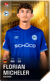 Florian Micheler - limited